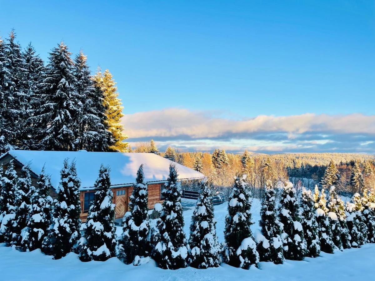 Das Wistlberg Wohlfuehlchalet マウト エクステリア 写真