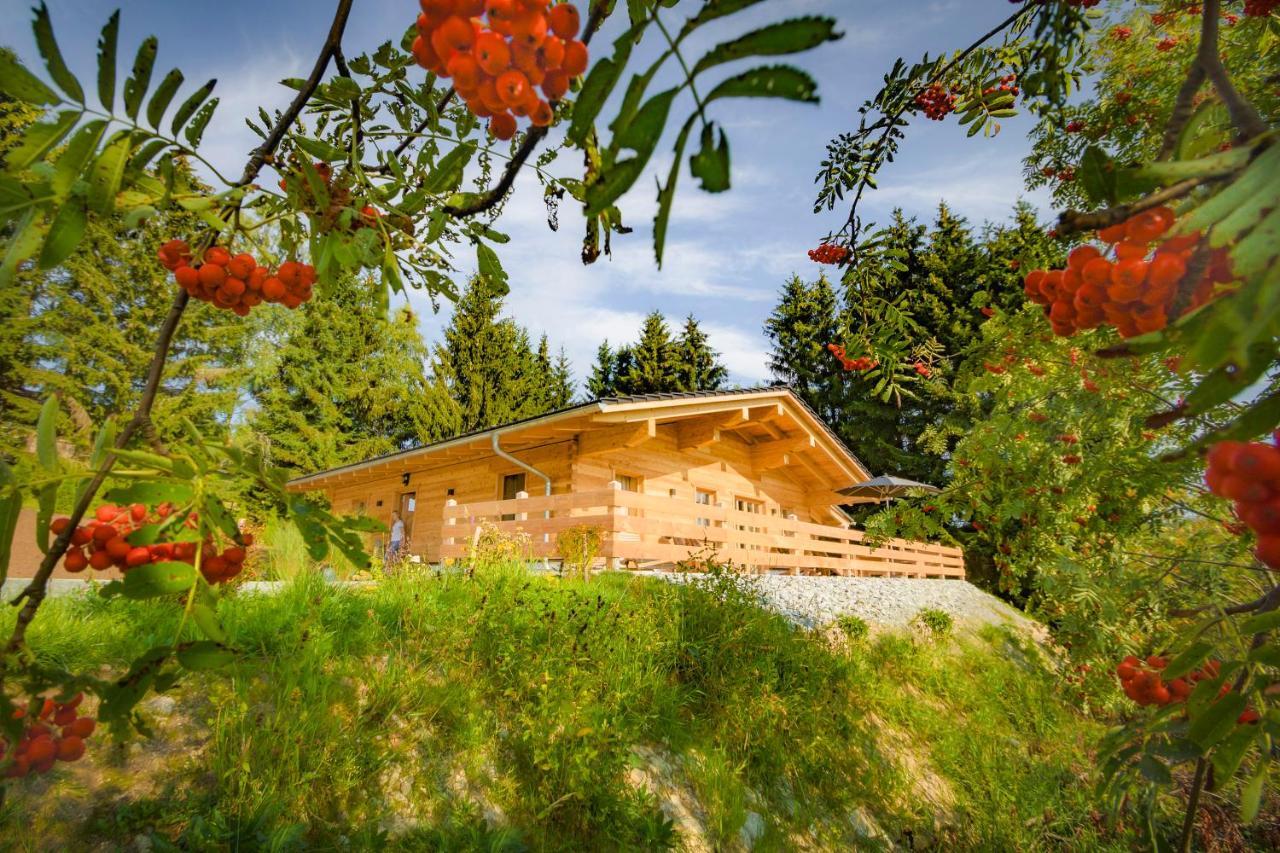 Das Wistlberg Wohlfuehlchalet マウト エクステリア 写真